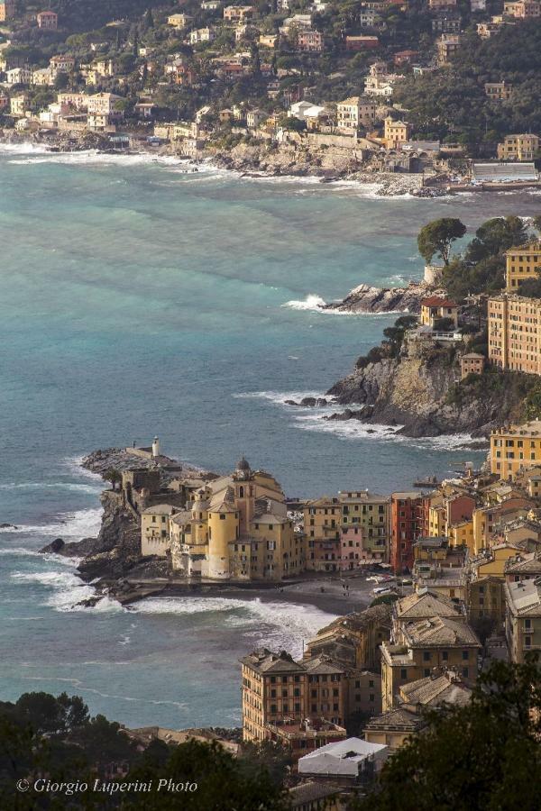 La Casa Di Francy Apartment Camogli Bagian luar foto
