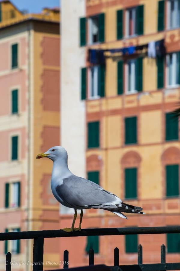La Casa Di Francy Apartment Camogli Bagian luar foto