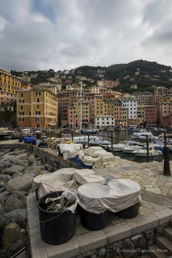 La Casa Di Francy Apartment Camogli Bagian luar foto