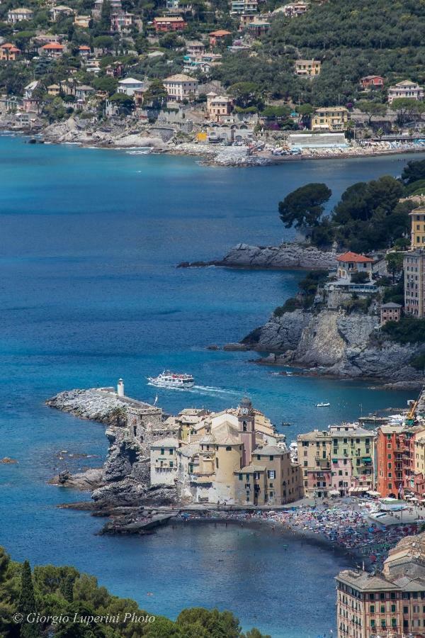 La Casa Di Francy Apartment Camogli Bagian luar foto