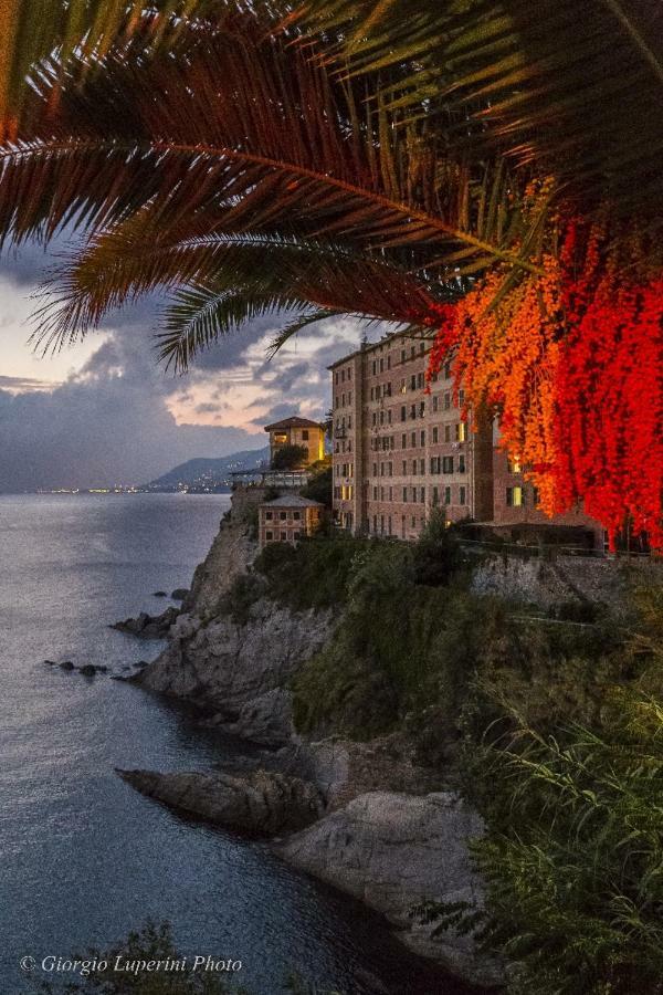 La Casa Di Francy Apartment Camogli Bagian luar foto