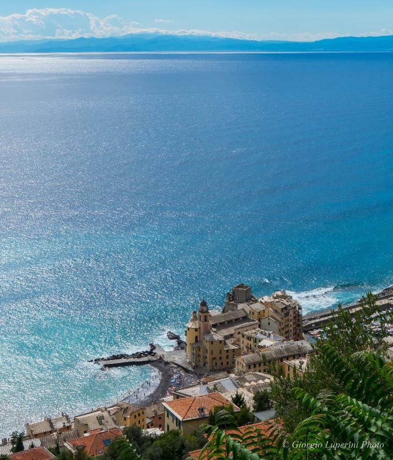 La Casa Di Francy Apartment Camogli Bagian luar foto