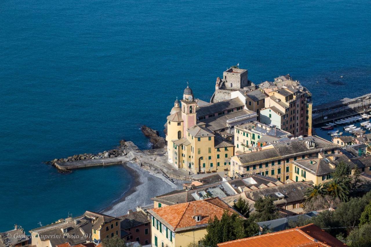 La Casa Di Francy Apartment Camogli Bagian luar foto
