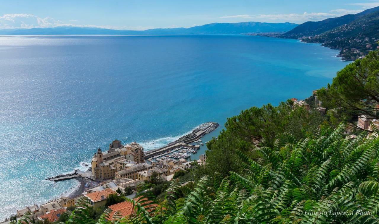 La Casa Di Francy Apartment Camogli Bagian luar foto