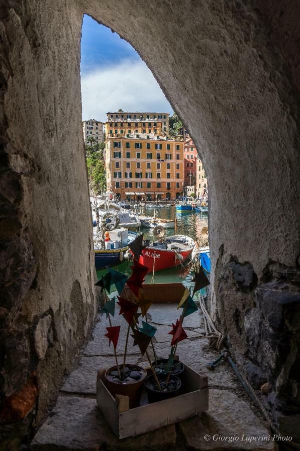 La Casa Di Francy Apartment Camogli Bagian luar foto