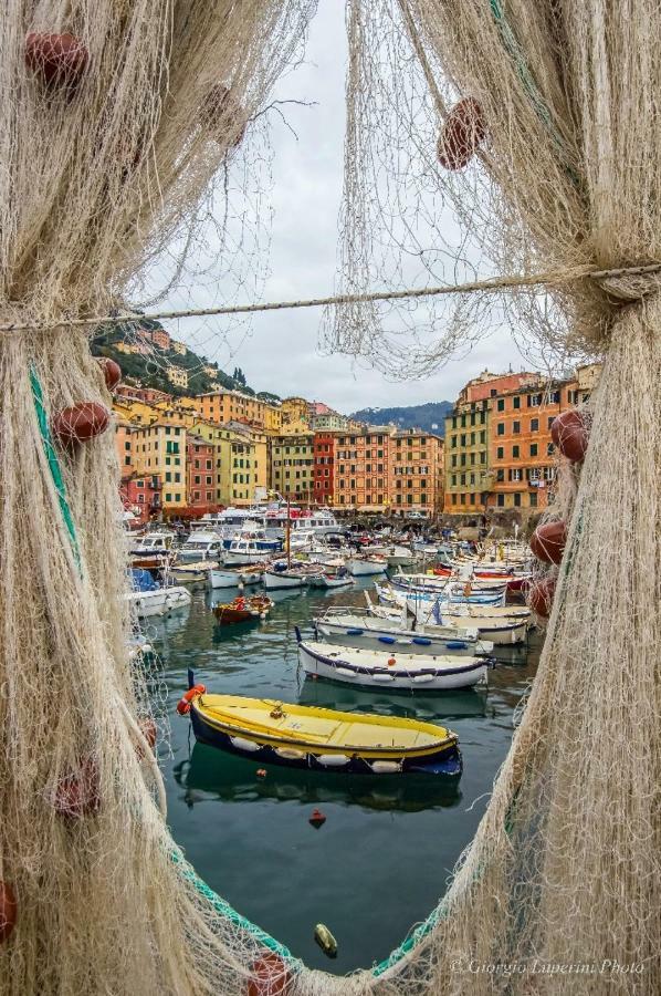 La Casa Di Francy Apartment Camogli Bagian luar foto