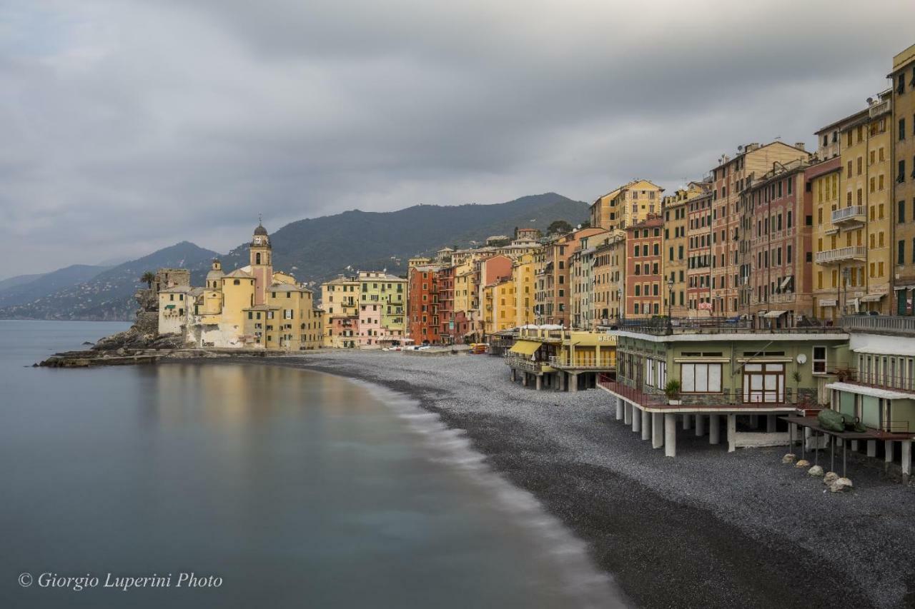 La Casa Di Francy Apartment Camogli Bagian luar foto