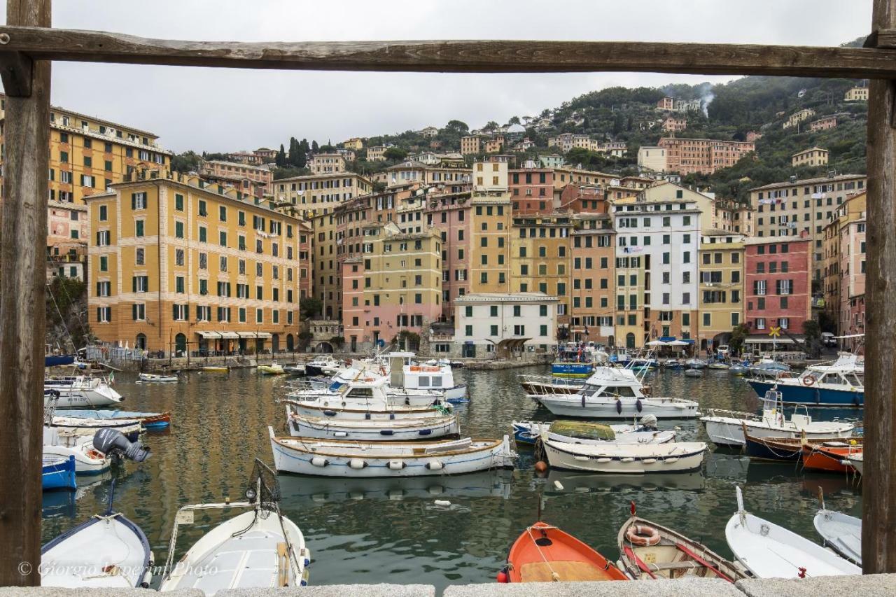 La Casa Di Francy Apartment Camogli Bagian luar foto