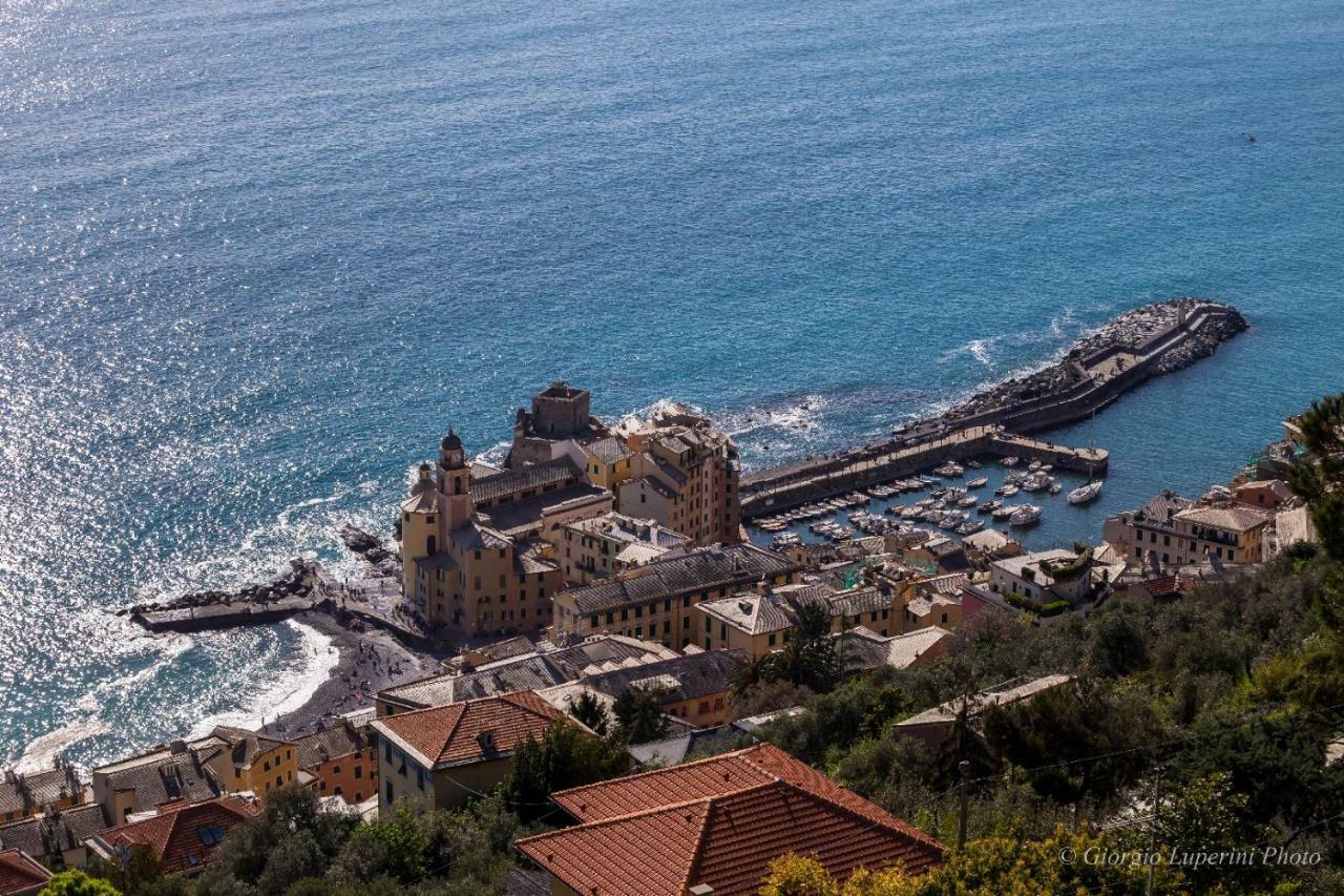 La Casa Di Francy Apartment Camogli Bagian luar foto